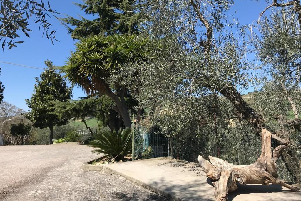 Casa Lu Monaco Tranquillita A Due Passi Dal Mare Διαμέρισμα Porto d'Ascoli Εξωτερικό φωτογραφία